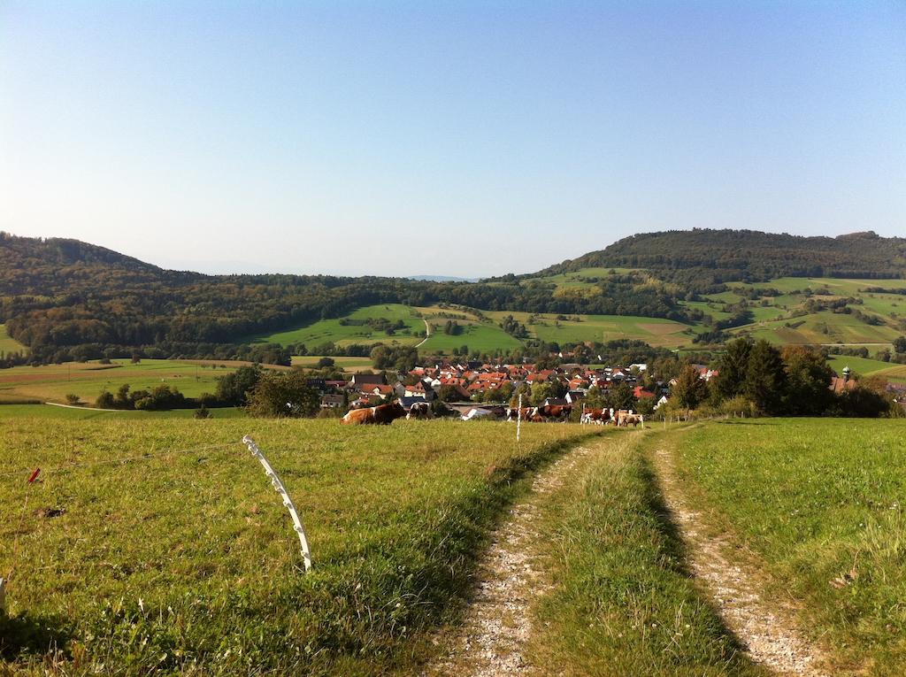 Luxus Appartement Schwarzwald Bei Freiburg 4 Schlafzimmer Sauna Solden Номер фото
